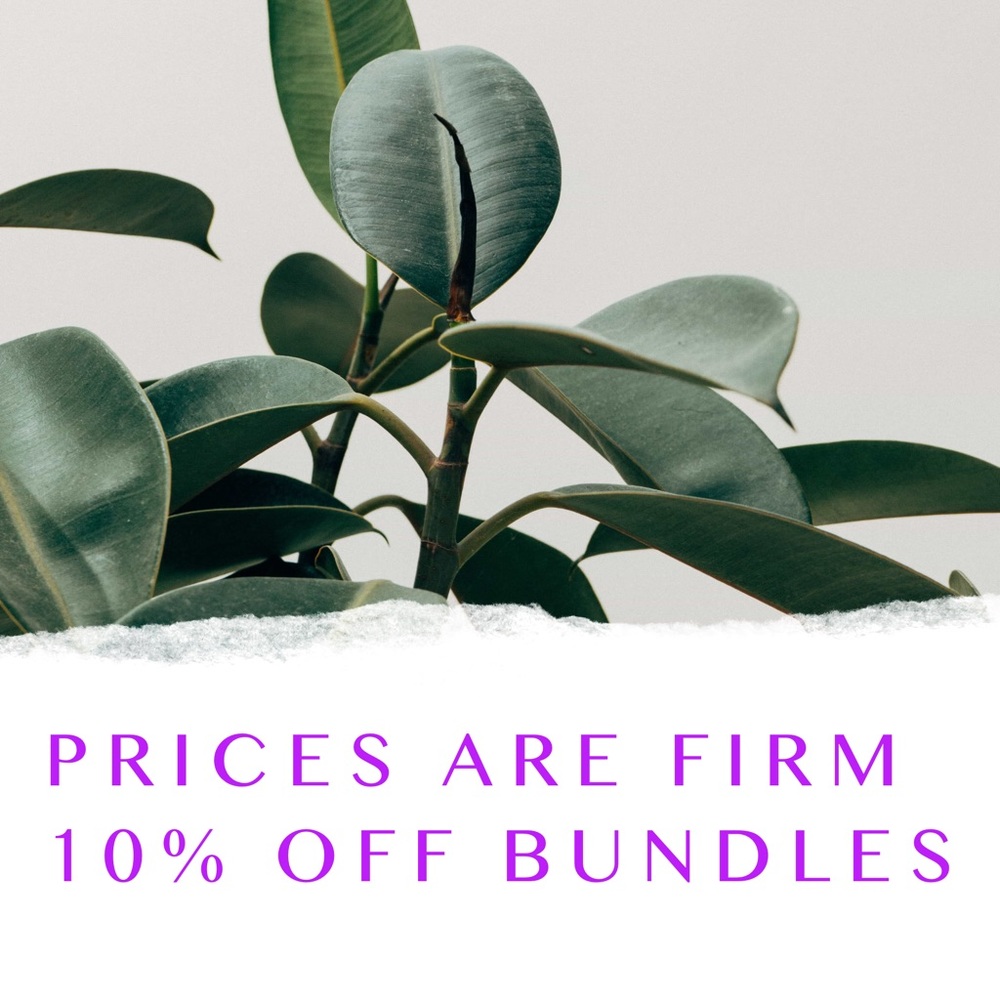 Best Deals 🍃 Best Prices!